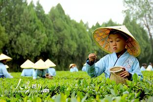 队记：今日太阳对阵掘金 布克因脚踝伤势将缺战